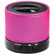 Bluetooth Wireless Mini Speaker
